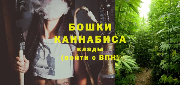 сатива Струнино
